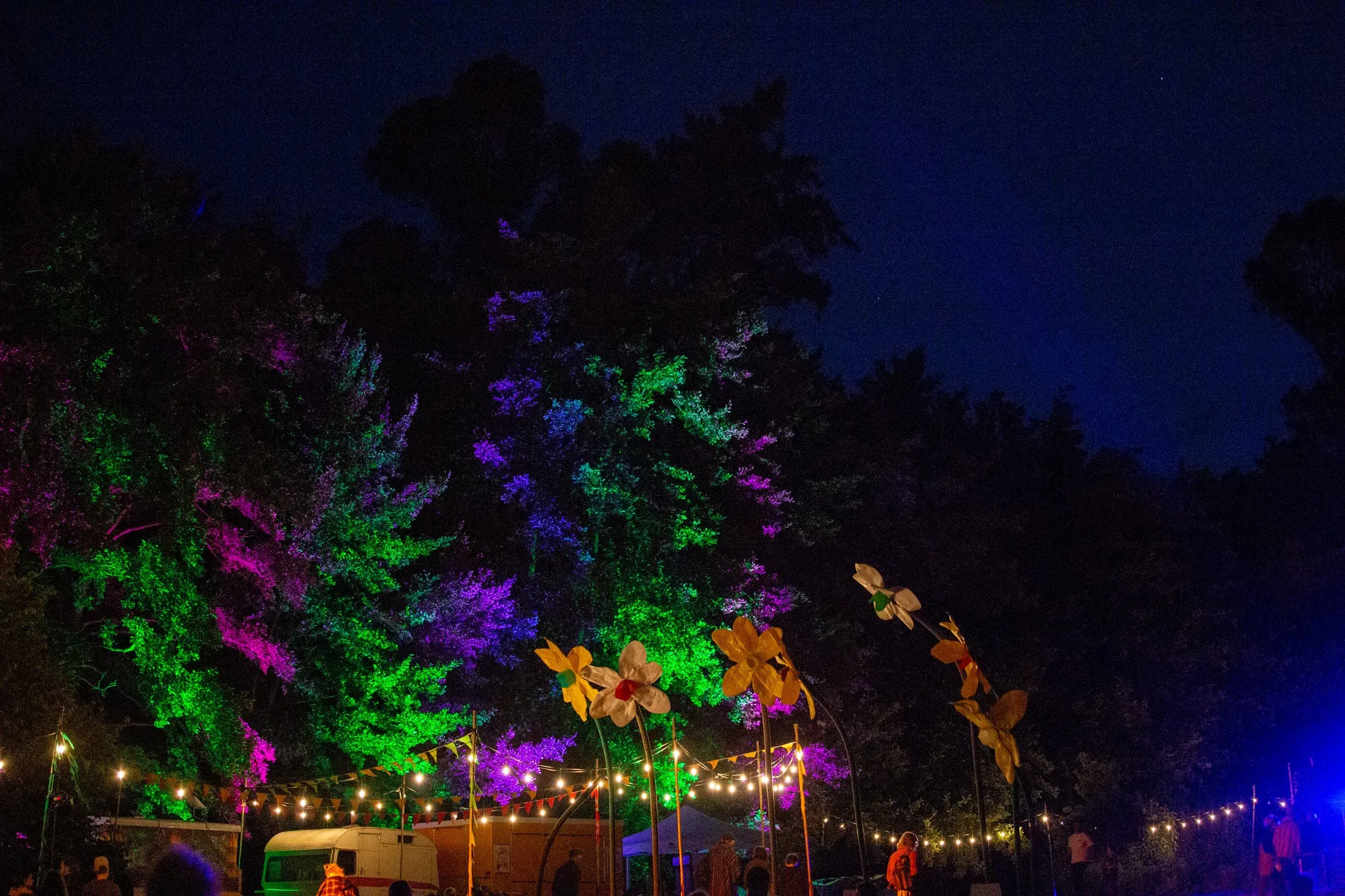 Colour-washed trees and glowing flower installations above festoon lighting at an outdoor festival