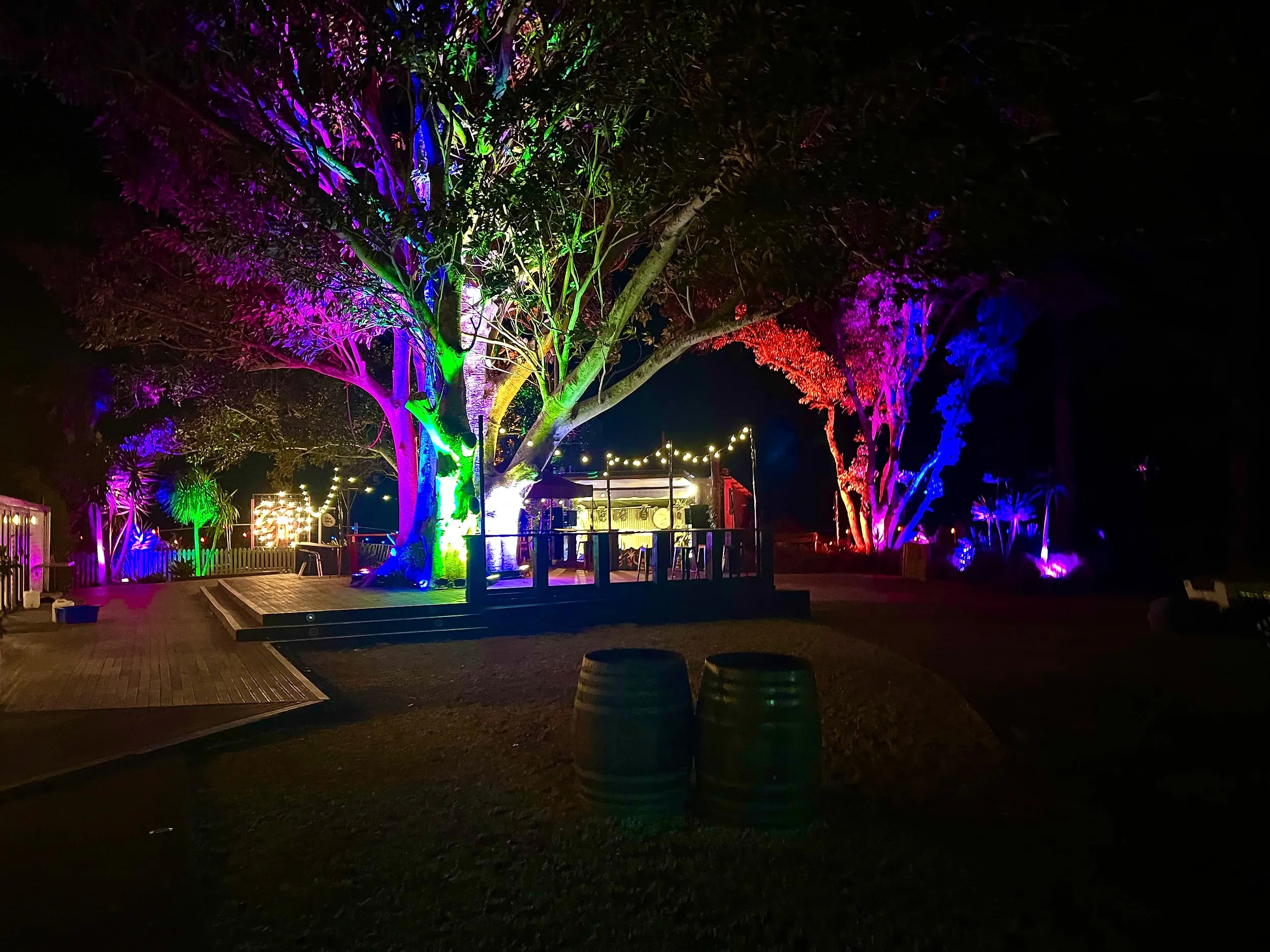 A garden venue at night with colour-washed trees and festoons running to a gazebo bar