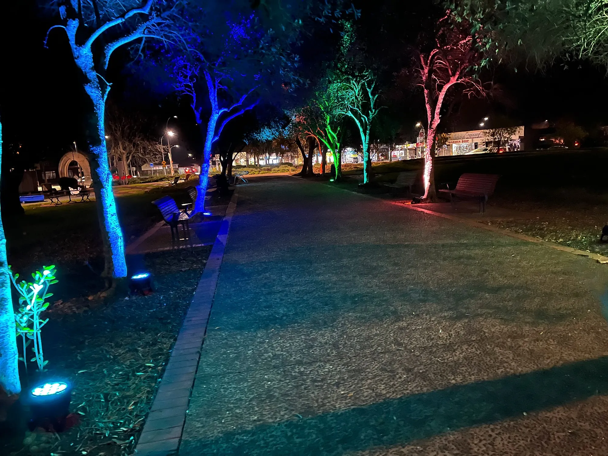A park path at night with tree trunks uplit in blue, green and red